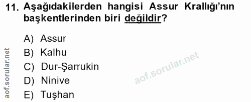 11. soru: Aşağıdakilerden hangisi Assur Krallığı'nın başkentlerinden biri değildir? A) Assur B) Kalhu C) Dur-Şarrukin D) Ninive…