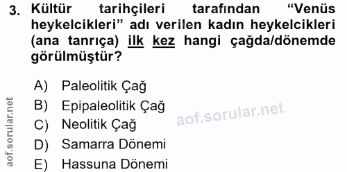 3. soru: Kültür tarihçileri tarafından "Venüs heykelcikleri" adı verilen kadın heykelcikleri (ana tanrıça) ilk kez hangi çağda…