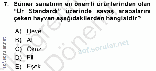 7. soru: Sümer sanatının en önemli ürünlerinden olan "Ur Standardı" üzerinde savaş arabalarını çeken hayvan aşağıdakilerden ha…