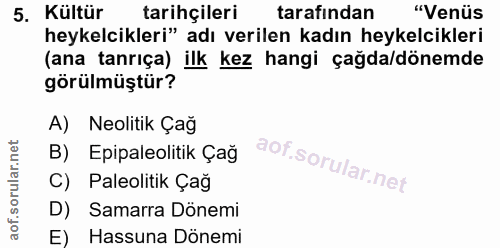 5. soru: Kültür tarihçileri tarafından "Venüs heykelcikleri" adı verilen kadın heykelcikleri (ana tanrıça) ilk kez hangi çağda…