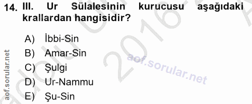 14. soru: IlI. Ur Sülalesinin kurucusu aşağıdaki krallardan hangisidir? A) Ibbi-Sin B) Amar-Sin C) Şulgi D) Ur-Nammu E) Şu-Sin