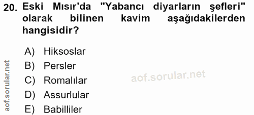 20. soru: Eski Mısır'da "Yabancı diyarların şefleri" olarak bilinen kavim aşağıdakilerden hangisidir? A) Hiksoslar B) Persler C…