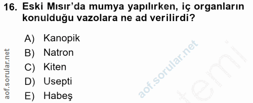 16. soru: Eski Mısır'da mumya yapılırken, iç organların konulduğu vazolara ne ad verilirdi? A) Kanopik B) Natron C) Kiten D) Us…