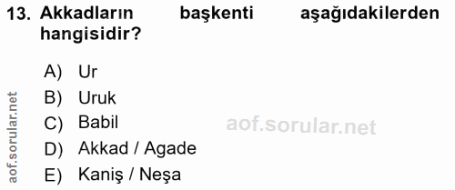 13. soru: Akkadların başkenti aşağıdakilerden hangisidir? A) Ur B) Uruk C) Babil D) Akkad / Agade E) Kaniş / Neşa