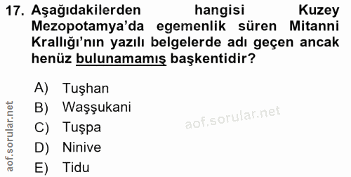 17. soru: Aşağıdakilerden hangisi Kuzey Mezopotamya'da egemenlik süren Mitanni Krallığı'nın yazılı belgelerde adı geçen ancak h…