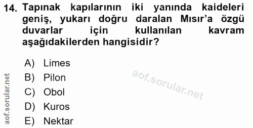 14. soru: Tapınak kapılarının iki yanında kaideleri geniş, yukarı doğru daralan Mısır'a özgü duvarlar için kullanılan kavram aş…
