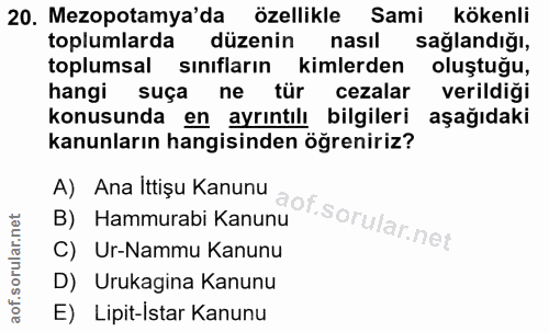 20. soru: Mezopotamya'da özellikle Sami kökenli toplumlarda düzenin nasıl sağlandığı, toplumsal sınıfların kimlerden oluştuğu,…