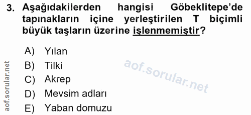 3. soru: Aşağıdakilerden hangisi Göbeklitepe'de tapınakların içine yerleştirilen T biçimli büyük taşların üzerine işlenmemişti…