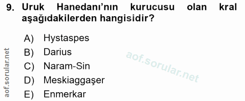 9. soru: Uruk Hanedanı'nın kurucusu olan kral aşağıdakilerden hangisidir? A) Hystaspes B) Darius Naram-Sin D) Meskiaggaşer E)…