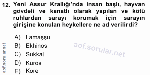12. soru: Yeni Assur Krallığı'nda insan başlı, hayvan gövdeli ve kanatlı olarak yapılan ve kötü ruhlardan sarayı korumak için s…