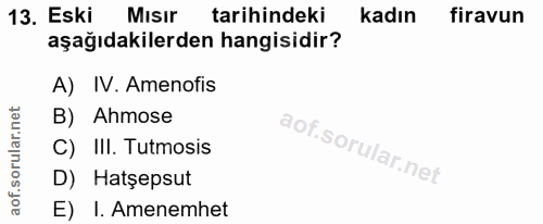 13. soru: Eski Mısir tarihindeki kadın firavun aşağıdakilerden hangisidir? A) IV. Amenofis B) Ahmose C) III. Tutmosis D) Hatşep…