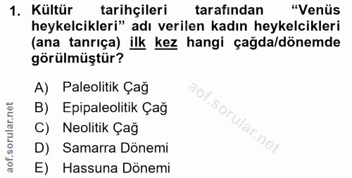 1. soru: Kültür tarihçileri tarafından "Venüs heykelcikleri" adı verilen kadın heykelcikleri (ana tanrıça) ilk kez hangi çağda…
