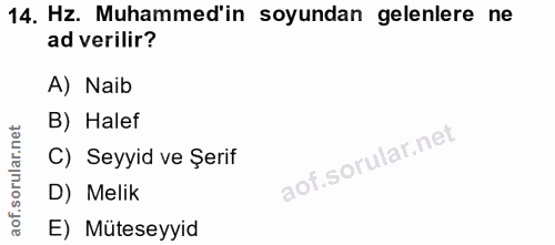 14. soru: Hz. Muhammed'in soyundan gelenlere ne ad verilir? A) Naib B) Halef C) Seyyid ve Şerif D) Melik E) Müteseyyid