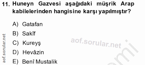 11. soru: Huneyn Gazvesi aşağıdaki müşrik Arap kabilelerinden hangisine karşı yapılmıştır? A) Gatafan B) Sakîf C) Kureyş D) Hev…