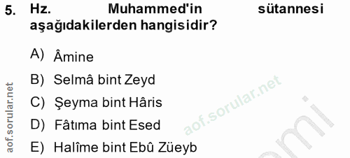 5. soru: Hz. Muhammed'in sütannesi aşağıdakilerden hangisidir? A) Âmine B) Selmâ bint Zeyd C) Şeyma bint Hâris .sOr D) Fâtıma…