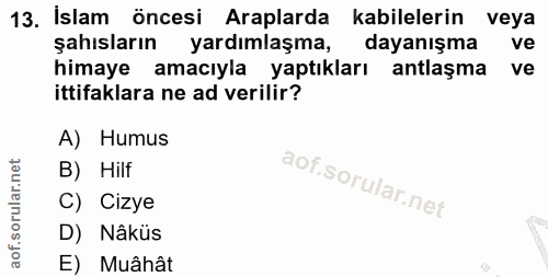 13. soru: İslam öncesi Araplarda kabilelerin veya şahısların yardımlaşma, dayanışma ve himaye amacıyla yaptıkları antlaşma ve i…