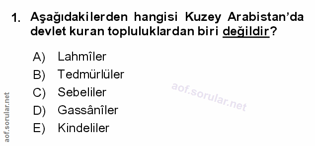 1. soru: Aşağıdakilerden hangisi Kuzey Arabistan'da devlet kuran topluluklardan biri değildir? A) Lahmîler B) Tedmürlüler Sebe…