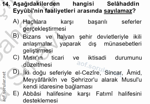 14. soru: Aşağıdakilerden hangisi Selâhaddin Eyyûbî'nin faaliyetleri arasında sayılamaz? A) Haçlılara karşl başarılı seferler g…