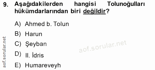 9. soru: Aşağıdakilerden hangisi Tolunoğulları hükümdarlarından biri değildir? A) Ahmed b. Tolun B) Harun C) Şeyban D) II. idr…