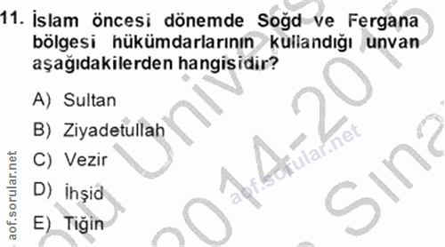11. soru: İslam öncesi dönemde Soğd ve Fergana bölgesi hükümdarlarının kullandığı unvan aşağıdakilerden hangisidir? A) Sultan B…