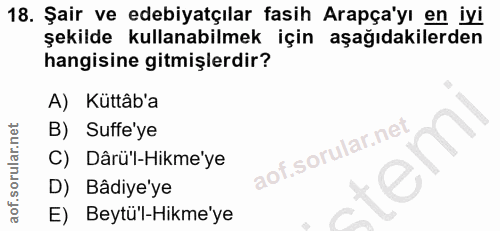 18. soru: Şair ve edebiyatçılar fasih Arapça'yı en iyi şekilde kullanabilmek için aşağıdakilerden hangisine gitmişlerdir? A) Kü…