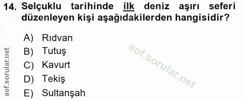 14. soru: Selçuklu tarihinde ilk deniz aşırı seferi düzenleyen kişi aşağıdakilerden hangisidir? A) Ridvan B) Tutuș C) Kavurt D)…