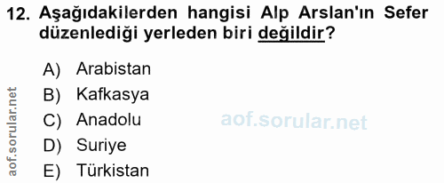 12. soru: Aşağıdakilerden hangisi Alp Arslan'ın Sefer düzenlediği yerleden biri değildir? A) Arabistan B) Kafkasya C) Anadolu D…