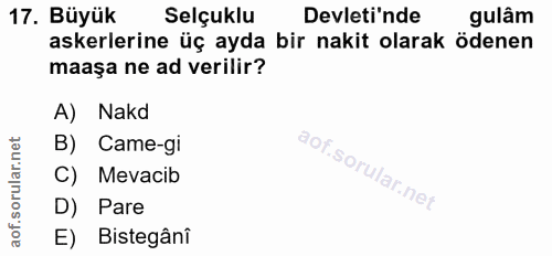 17. soru: Büyük Selçuklu Devleti'nde gulâm askerlerine üç ayda bir nakit olarak ödenen maașa ne ad verilir? A) Nakd B) Came-gi…