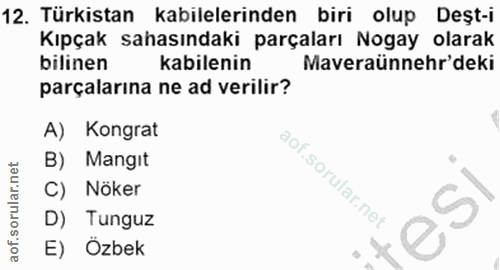 12. soru: Türkistan kabilelerinden biri olup Deşt-i Kıpçak sahasındaki parçaları Nogay olarak bilinen kabilenin Maveraünnehr'de…