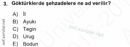 3. soru: Göktürklerde şehzadelere ne ad verilir? A) iI B) Ayukı C) Tegin D) Urug E) Bodun