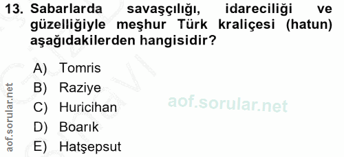 13. soru: Sabalarda savaşçılığı, idareciliği ve güzelliğiyle meşhur Türk kraliçesi (hatun) aşağıdakilerden hangisidir? A) Tomri…