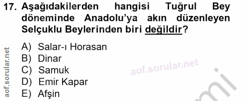 17. soru: Aşağıdakilerden hangisi Tuğrul Bey döneminde Anadolu'ya akın düzenleyen Selçuklu Beylerinden biri değildir? A) Salar-…