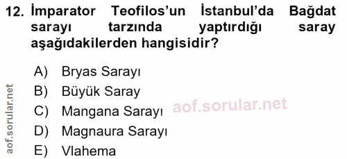 12. soru: Imparator Teofilos'un İstanbul'da Bağdat sarayı tarzında yaptırdığı saray aşağıdakilerden hangisidir? A) Bryas Sarayı…