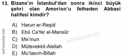13. soru: Bizans'ın İstanbul'dan sonra ikinci büyük şehri olan Amorion'u fetheden Abbasi halifesi kimdir? A) Harun er-Reşid B)…