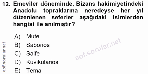 12. soru: Emeviler döneminde, Bizans hakimiyetindeki Anadolu topraklarına neredeyse her yıl düzenlenen seferler aşağıdaki isiml…