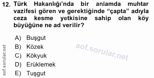 12. soru: Türk Hakanlığı'nda bir anlamda muhtar vazifesi gören ve gerektiğinde "çapta" adıyla ceza kesme yetkisine sahip olan k…