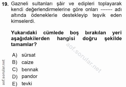 19. soru: Gazneli sultanları şâir ve edipleri toplayarak kendi değerlendirmelerine göre onları -- adı altında ödeneklerle deste…