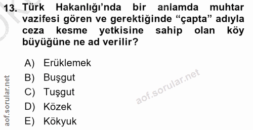 13. soru: Türk Hakanlığı'nda bir anlamda muhtar vazifesi gören ve gerektiğinde "çapta" adıyla ceza kesme yetkisine sahip olan k…