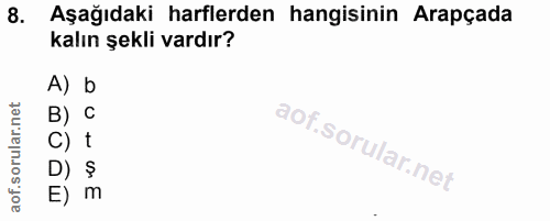 8. soru: Aşağıdaki harflerden hangisinin Arapçada kalın şekli vardır? A) b B) C C) t D) § E) m