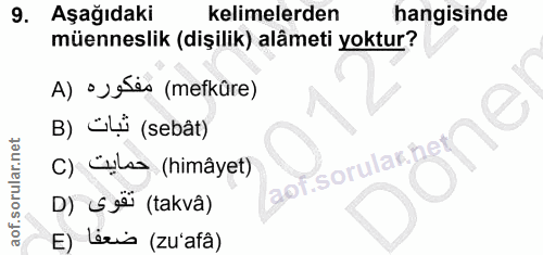 9. soru: Aşağıdaki kelimelerden hangisinde müenneslik (dişilik) alâmeti yoktur? A) • yeses (mefkûre) B) üLü (sebât) C) Culsa (…