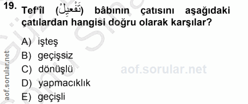 19. soru: Tefil (Lei) bâbının çatısını aşağıdaki çatılardan hangisi doğru olarak karşılar? A) işteş B) geçişsiz C) dönüşlü D) y…