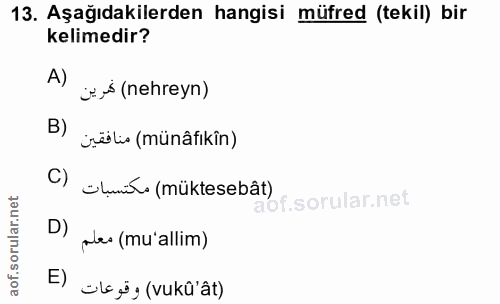 13. soru: Aşağıdakilerden hangisi müfred (tekil) bir kelimedir? A) j*→ (nehreyn) B) ürëlis (münâfıkîn) C) Elunit (müktesebât) D…