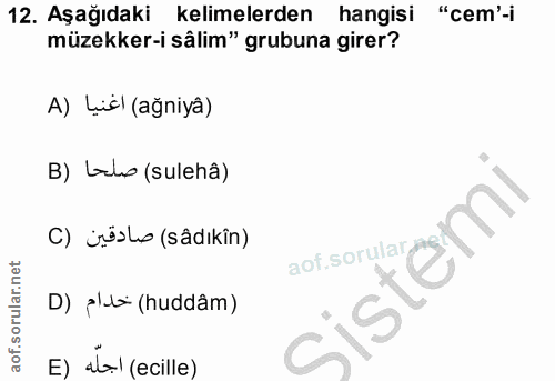 12. soru: Aşağıdaki kelimelerden hangisi "cem'-i müzekker-i sâlim" grubuna girer? A) Lic| (ağniyâ) B) Lals (sulehâ) C) ürësl (s…