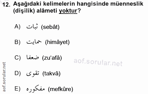 12. soru: Aşağıdaki kelimelerin hangisinde müenneslik (dişilik) alâmeti yoktur? A) dị (sebât) B) cl (himâyet) C) Lezio (zu'afâ)…