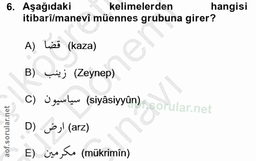 6. soru: Aşağıdaki kelimelerden hangisi itibarî/manevi müennes grubuna girer? A) Lpi (kaza) B) _j (Zeynep) C) Ügulw (siyâsiyyû…