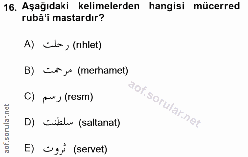 16. soru: Aşağıdaki kelimelerden hangisi mücerred rubâ'î mastardır? A) cl, (rıhlet) B) co, (merhamet) C) pu, (resm) D) ciblw (s…