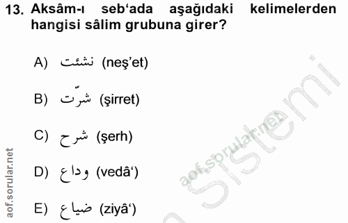 13. soru: Aksâm-ı seb'ada aşağıdaki kelimelerden hangisi sålim grubuna girer? A) Cin (neş'et) B) O ji (şirret) C) Zui (şerh) D)…