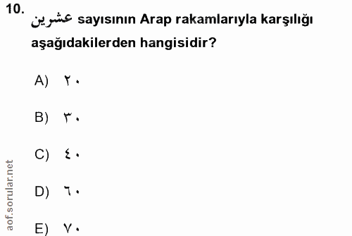 10. soru: Ürüs sayısının Arap rakamlarıyla karşılığı aşağıdakilerden hangisidir? A) T• B) r. rular.net C) =• D) 7• aof.so E V•