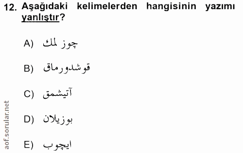 12. soru: Aşağıdaki kelimelerden hangisinin yazımı yanlıştır? A) Il je فوشدورماق (B آتيشمق (C بوزيلان (D ايجوب (E