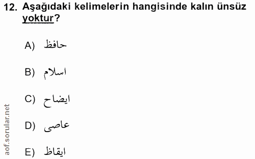 12. soru: Aşağıdaki kelimelerin hangisinde kalın ünsüz yoktur? A) bila اسلام (B C) Elisl D) pole E) bël